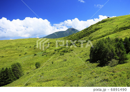 夏のイメージ　霧ヶ峰高原から蓼科山の眺望 6891490