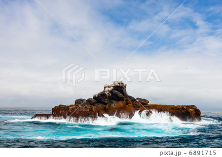 Rock with sea birds 6891715