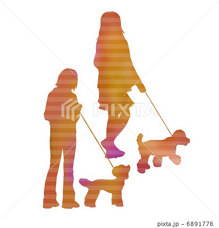 犬の散歩をする女の子 犬の散歩をする女の子 6891776