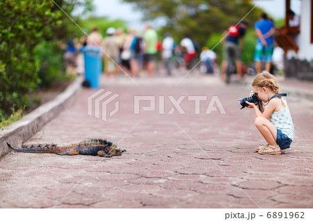 Young nature photographer Young nature photographer 6891962