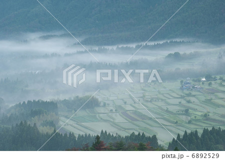 朝霧の棚田 朝霧の棚田 6892529