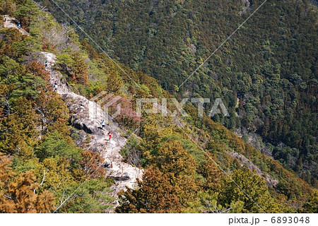 トレイルランニング 6893048