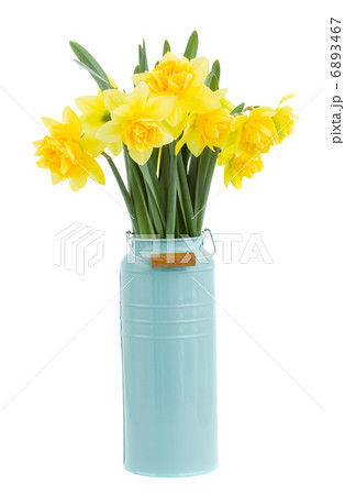 bouquet of narcissus in vase bouquet of narcissus in vase 6893467