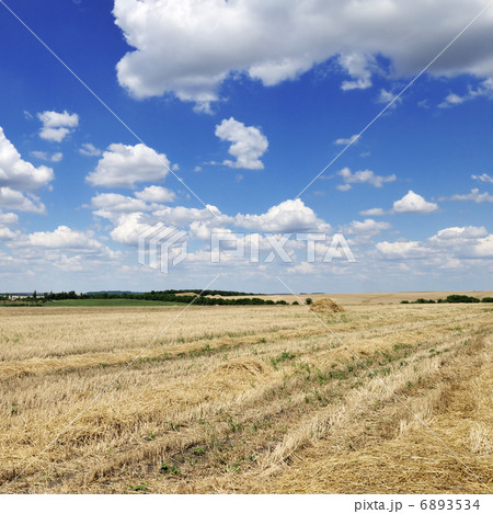 field 6893534