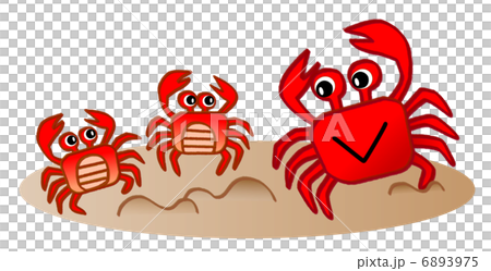 螃蟹的父母和孩子 6893975