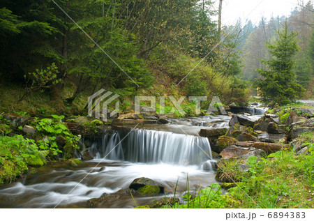 Beautiful forest landscape with rapid flowing brook Beautiful forest landscape with rapid flowing brook 6894383
