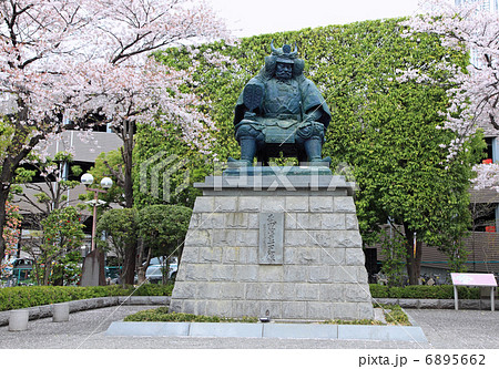 武田信玄公の像と桜の写真素材
