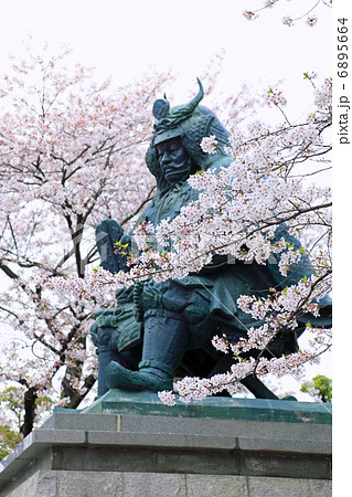 桜越しに見る武田信玄公の像 桜越しに見る武田信玄公の像 6895664