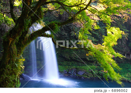 慈恩の滝 6896002