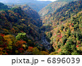 九重夢大吊橋 6896039