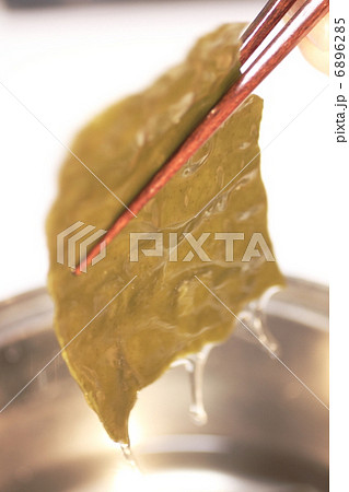 ネバネバが身体に良いと言われるガゴメ昆布 ネバネバが身体に良いと言われるガゴメ昆布 6896285