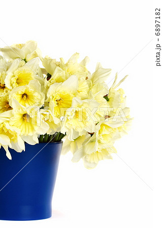 Bouquet in a blue vase on a white background. 6897182