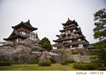 伏見桃山城 伏見桃山城 6897218