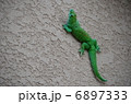 トカゲ 6897333