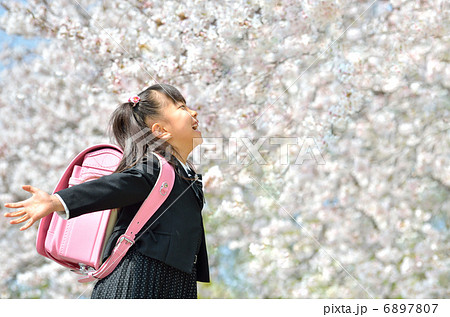 新一年生の女の子 桜 の写真素材
