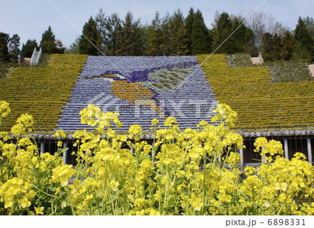 花壇のある風景 6898331