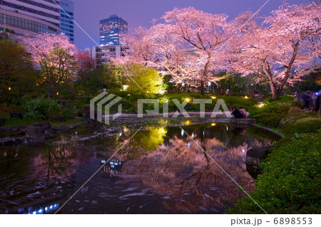 春の毛利庭園 春の毛利庭園 6898553