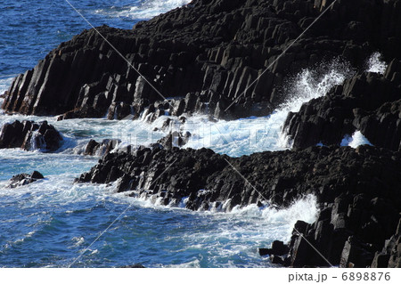 伊豆下田　爪木崎の磯 6898876