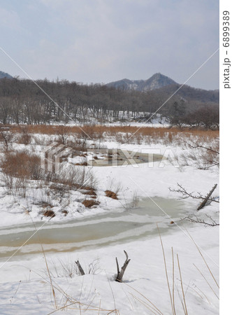 冬の湯川 冬の湯川 6899389