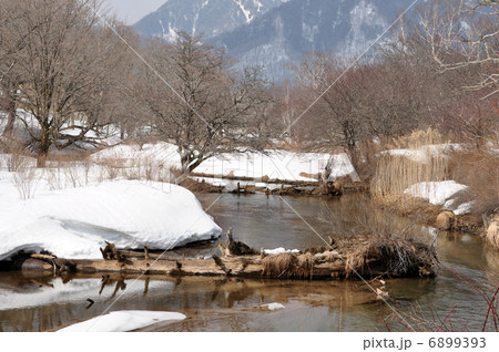 冬の湯川 冬の湯川 6899393