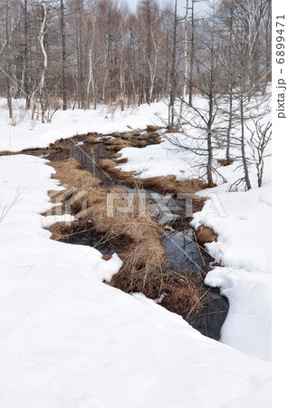 冬の湯川 冬の湯川 6899471