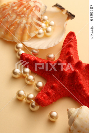 Scattering white pearls in seashell and seastar Scattering white pearls in seashell and seastar 6899587
