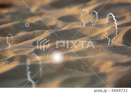砂地に樹木 6899732