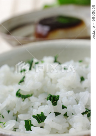 おいしい菜飯 6900659