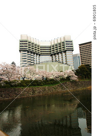 桜と共にさよなら赤プリ13 3 23現在 ゆっくり進む解体 弁慶堀を隔てて縦位置の写真素材