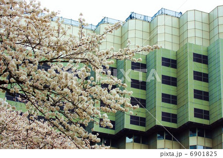 桜と共にさよなら赤プリ2013.3.23現在・ゆっくり進む解体・横位置アップ 桜と共にさよなら赤プリ2013.3.23現在・ゆっくり進む解体・横位置アップ 6901825