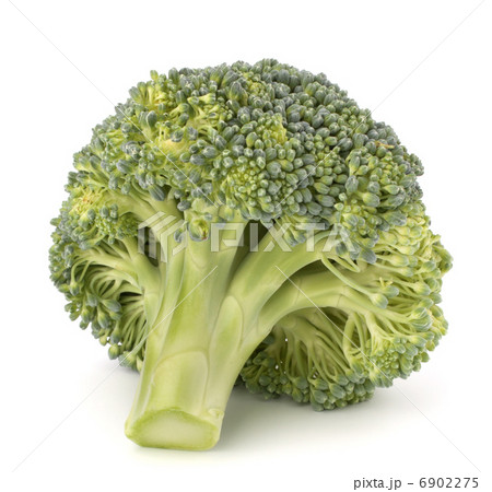 Broccoli vegetable Broccoli vegetable 6902275