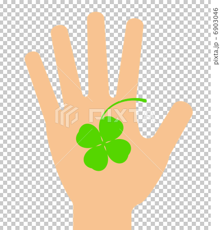 手のひらに乗せたクローバー 6903046