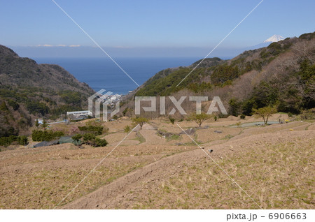 石部の棚田 松崎 石部の棚田 松崎 6906663