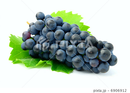 bunch of grapes bunch of grapes 6906912