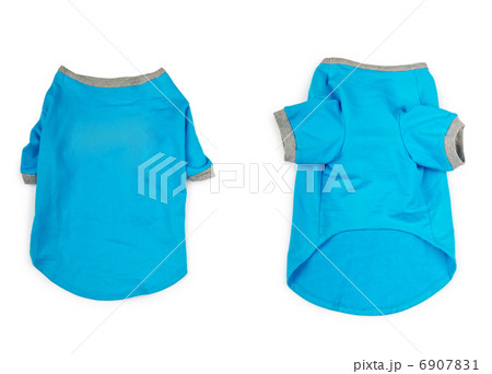 Pet clothing isolated on the white Pet clothing isolated on the white 6907831