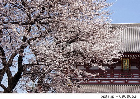 浅草寺　春 6908662