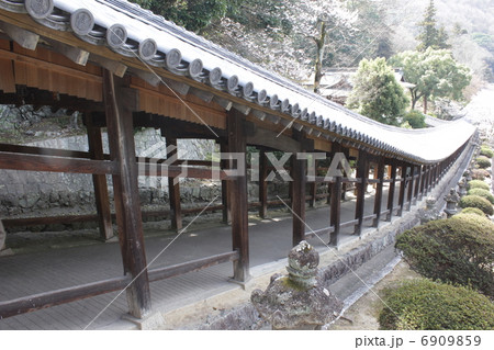 かいろう 6909859