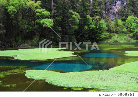 青く澄む渓谷（中国四川省、九寨溝） 6909861