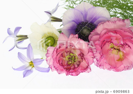 アネモネとラナンキュラスと花韮の花束 アネモネとラナンキュラスと花韮の花束 6909863