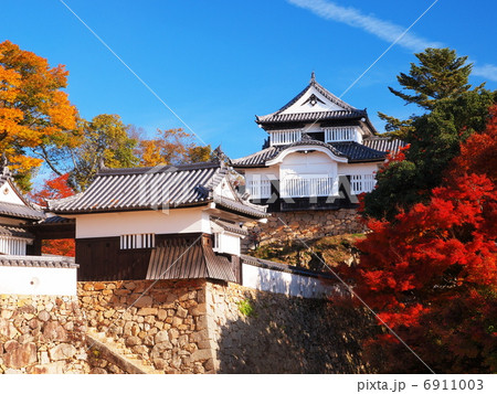 紅葉の備中松山城 6911003
