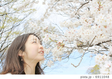 晴天の下、桜を見上げる綺麗な女性 晴天の下、桜を見上げる綺麗な女性 6911048