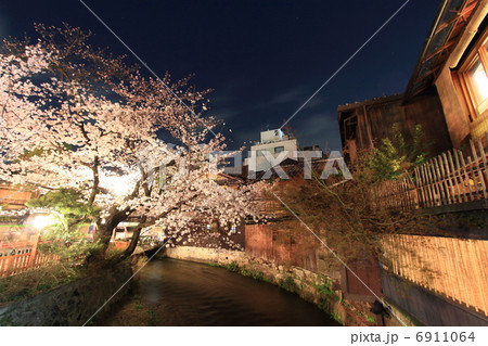 京都 祇園白川の夜桜 京都 祇園白川の夜桜 6911064