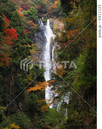 紅葉の神庭の滝 6911125