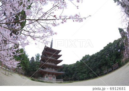 醍醐寺の五重塔 6912681
