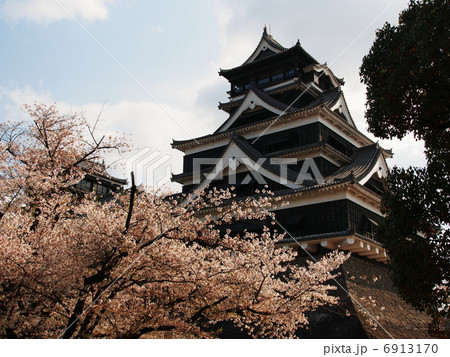 桜咲く熊本城 6913170