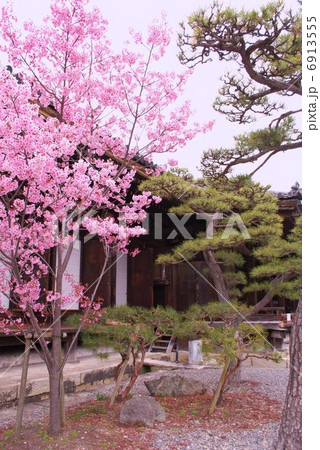 三十三間堂 6913555