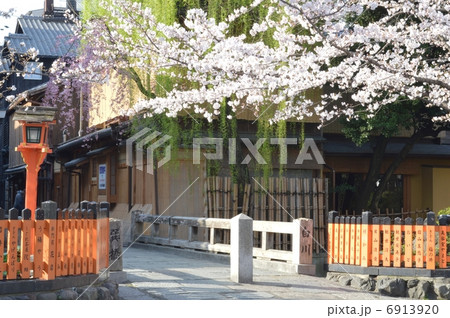 春の祇園白川 6913920