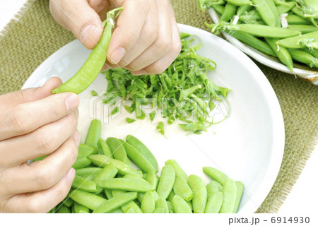 えんどう豆 6914930