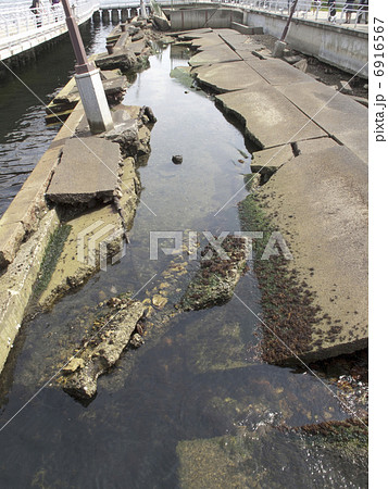 神戸港震災メモリアルパーク 6916567