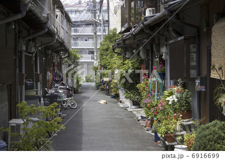 長屋の路地 長屋の路地 6916699